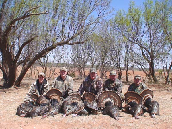 Rio Grande Turkey Hunt