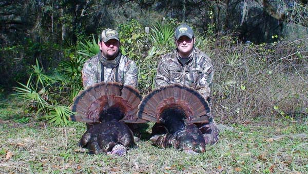 Florida Osceola Turkey Hunt